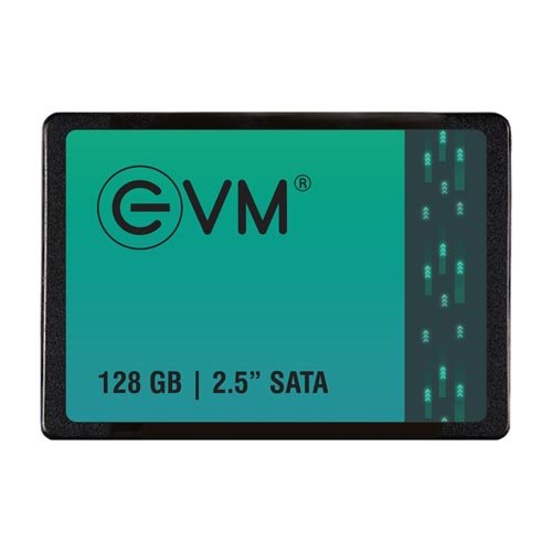 EVM 128GB 2.5 inch SATA SSD